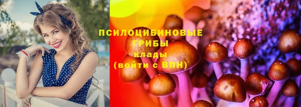 a pvp Балабаново